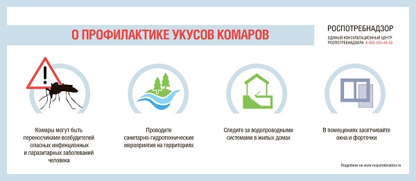 О профилактике заболеваний, передающихся через укусы насекомых О профилактике заболеваний, передающихся через укусы насекомых
