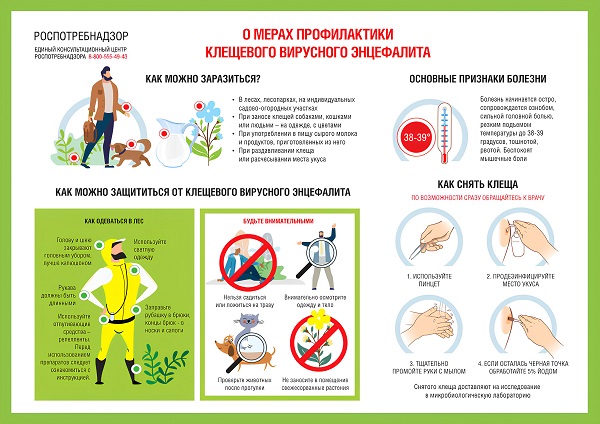 О профилактике клещевого энцефалита О профилактике клещевого энцефалита