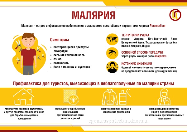 Малярия – паразитарная тропическая болезнь Малярия – паразитарная тропическая болезнь