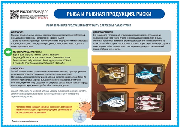 Восточный филиал ФБУЗ «Центр гигиены и эпидемиологии в г. Санкт-Петербург и Ленинградской области» информирует