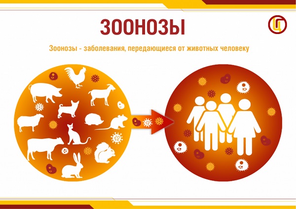 Восточный филиал ФБУЗ «Центр гигиены и эпидемиологии в г. Санкт-Петербург и Ленинградской области» информирует