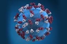 Восточный филиал ФБУЗ «Центр гигиены и эпидемиологии в г. Санкт-Петербург и Ленинградской области» информирует