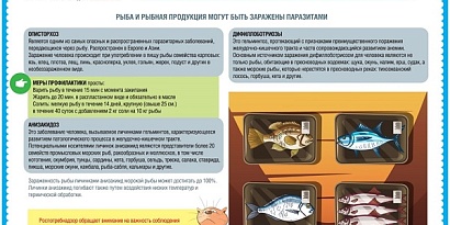 Восточный филиал ФБУЗ «Центр гигиены и эпидемиологии в г. Санкт-Петербург и Ленинградской области» информирует