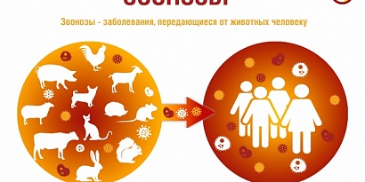 Восточный филиал ФБУЗ «Центр гигиены и эпидемиологии в г. Санкт-Петербург и Ленинградской области» информирует